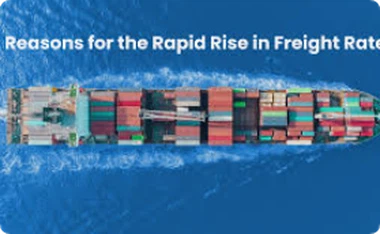 Sea Freight Rates in Flux